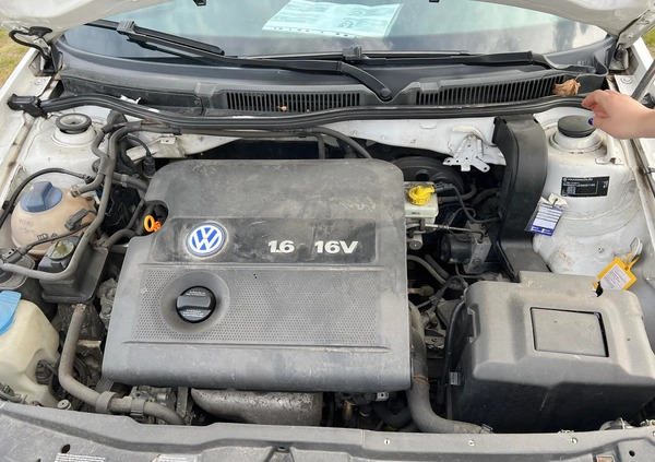 Volkswagen Golf cena 6700 przebieg: 238500, rok produkcji 2002 z Wieleń małe 137